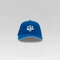 3-Strokes-Performance-Golf-Cap-Blue-Breathable-Adjustable-Hat-Philippines