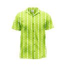A green and white checkered shirt with short sleeves and a collar.